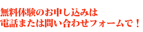 活動レポート